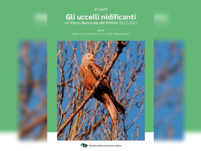 uccelli Pollino