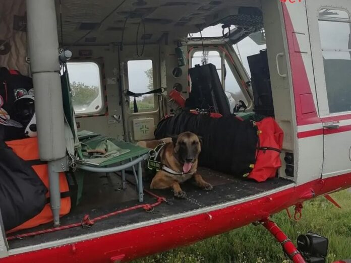 elicottero vigili del fuoco cane da soccorso