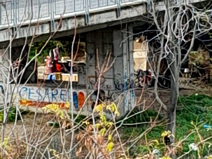 ponte rossano rissa stranieri