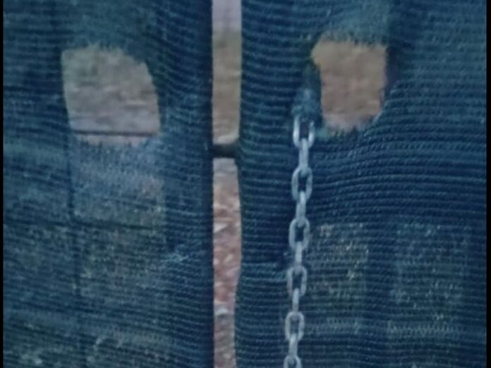 vandali lido gioiosa