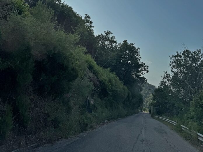 Fagnano castello sp270