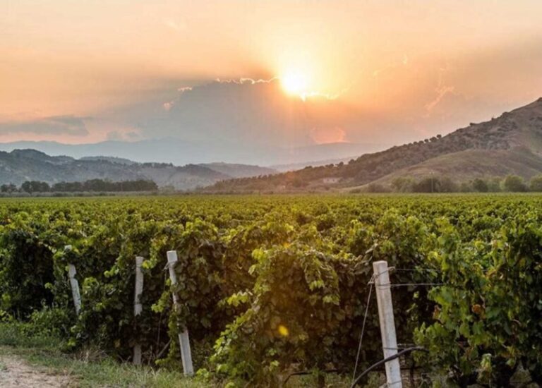 Merano Wine Festival: ci siamo! Tre giorni per l’essenza del Sud a Cirò e Cirò Marina