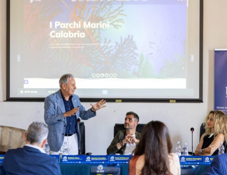 Capo Vaticano, un tesoro sommerso da proteggere: presentati i primi risultati del progetto Tecna Acoustic