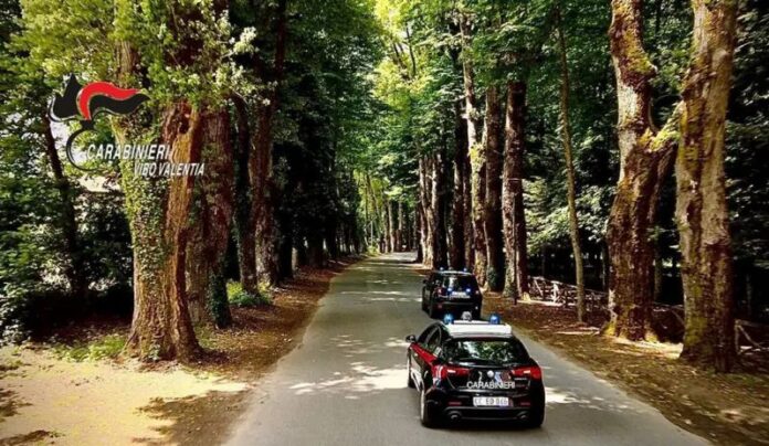 carabinieri vibo auto serra san bruno