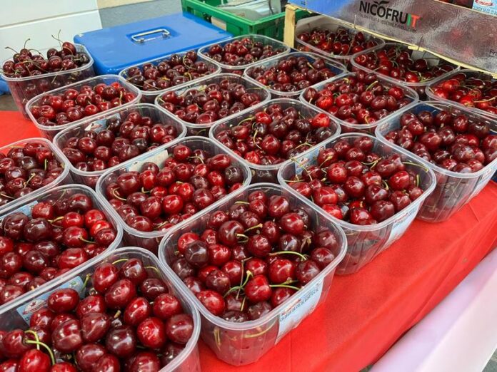 ciliegie roseto capo spulico