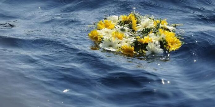 fiori in mare