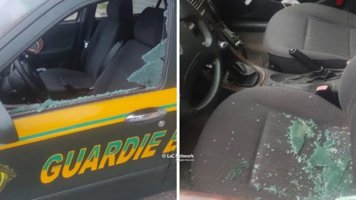 guardie ecozoofile vv vandalismo