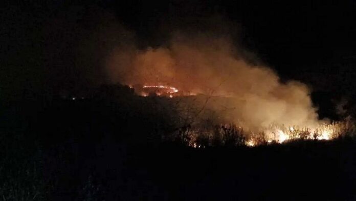 incendio terreno calopezzati