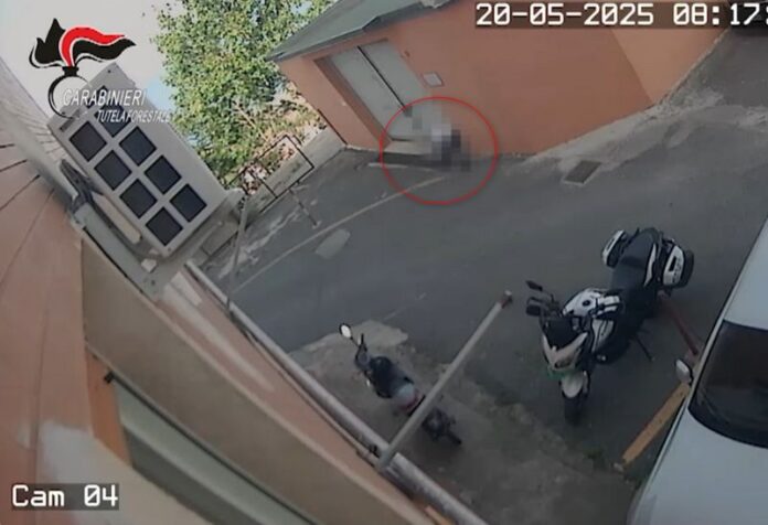 infermiera paola rifiuti infettivi