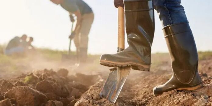 lavoro nero calabria