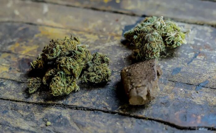 marijuana e hashish
