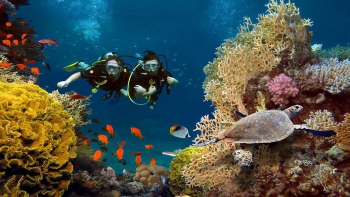 turismo subacqueo