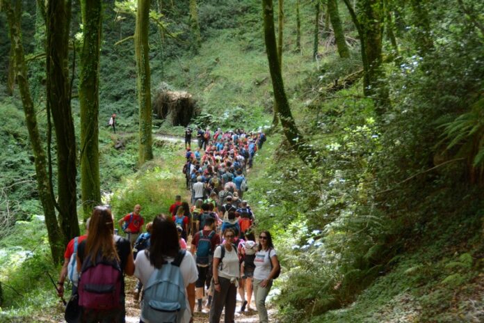 Escursione sul Cammino KCTC