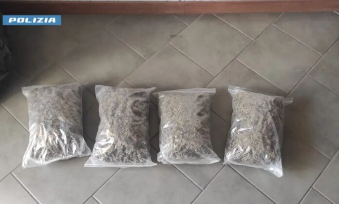 cannabis autostrada A2