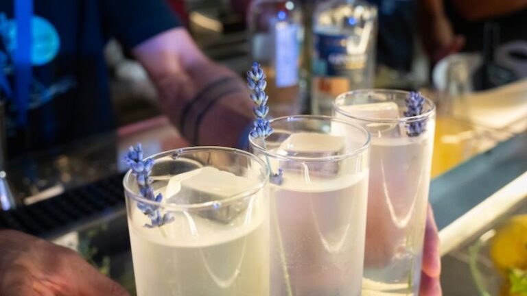 cocktail pollino mixologist