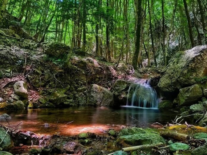 corso del fiume Rosa, nel Parco Nazionale del Pollino