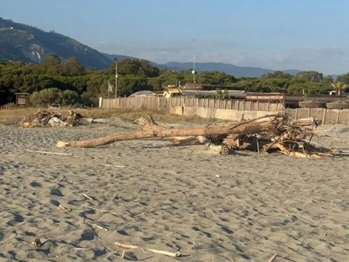 degrado spiaggia gizzeria