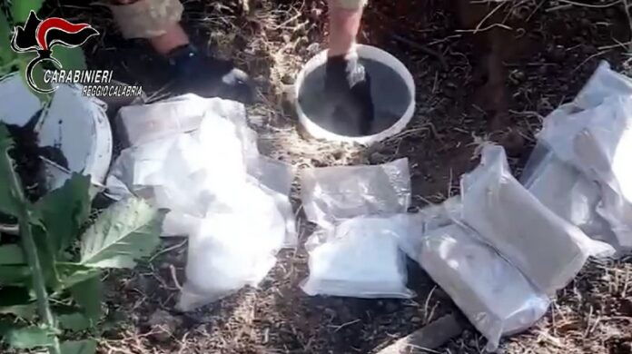 droga fusti nascosti gioiosa