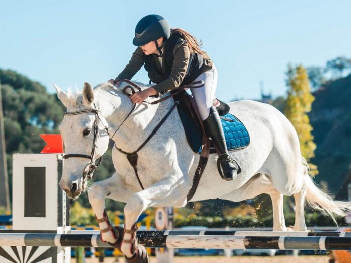 equitazione valle dei mulini catanzaro