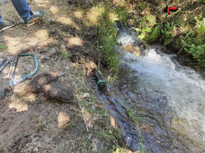 furto acqua petilia policastro