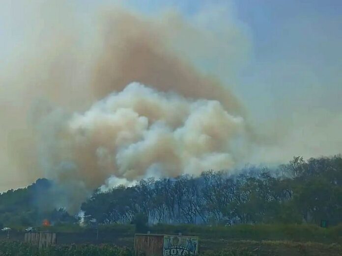 incendio centro commerciale lamezia