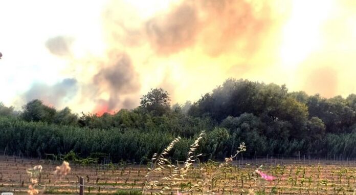incendio cirò marina