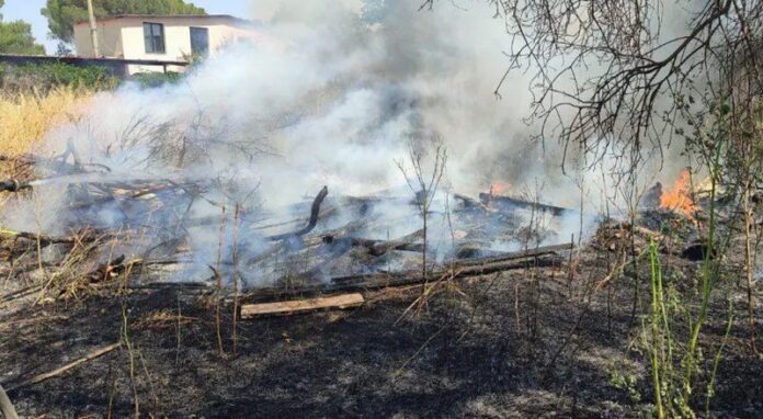 incendio doloso grano gioia tauro