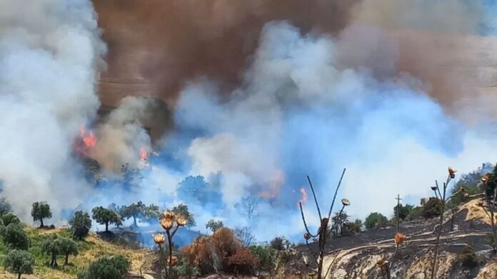 incendio sila greca