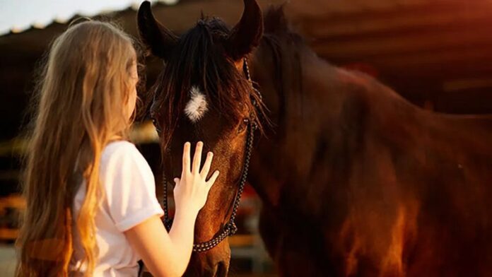 ippoterapia cavallo