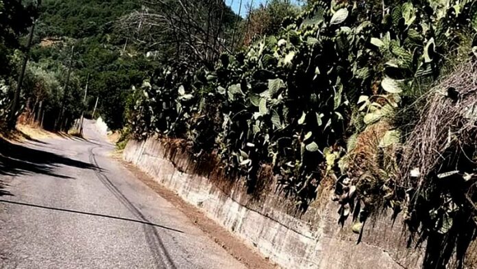 strade pulite cropalati