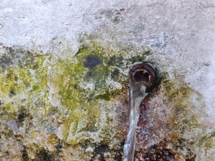 vandali fontana catanzaro