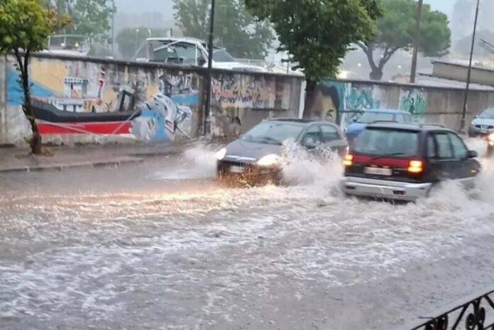 allgamenti vibo 2025