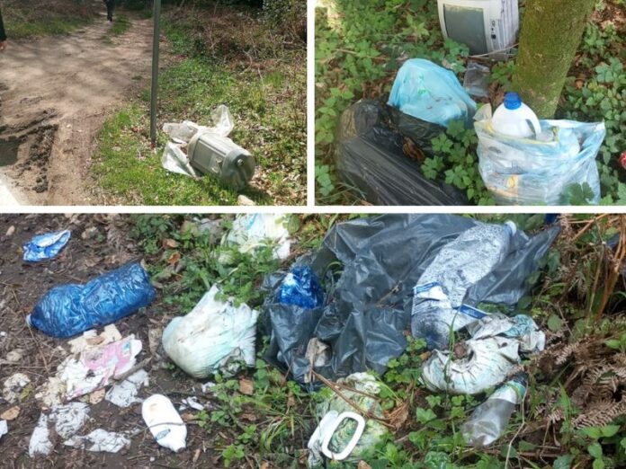 abbandono rifiuti serre