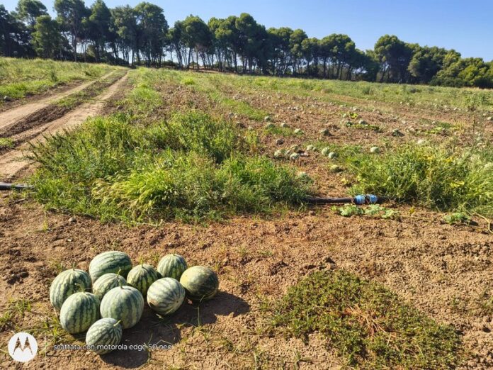 campo angurie isola capo rizzuto