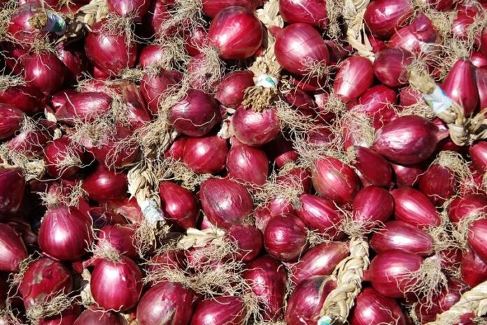 cipolle rosse