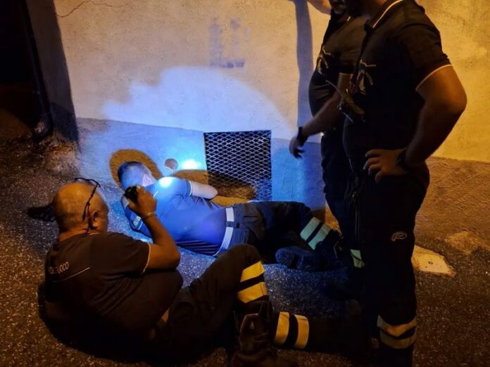 gattino salvato cortale