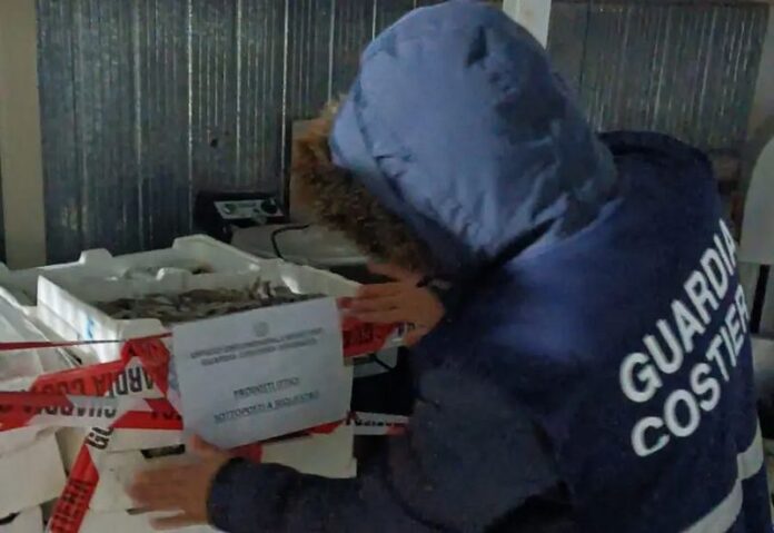 guardia costiera sequestro pescato