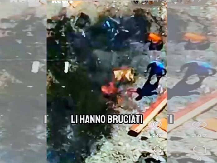 incendio calabria_video droni calabria