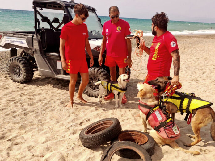 rimozione rifuti mare sellia