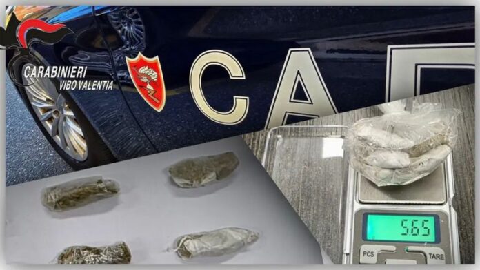 sequestro dosi marijuana vibo