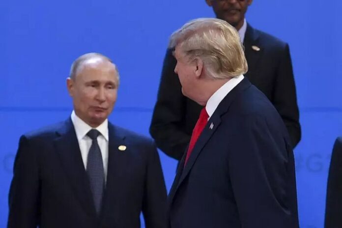 vertice trump putin
