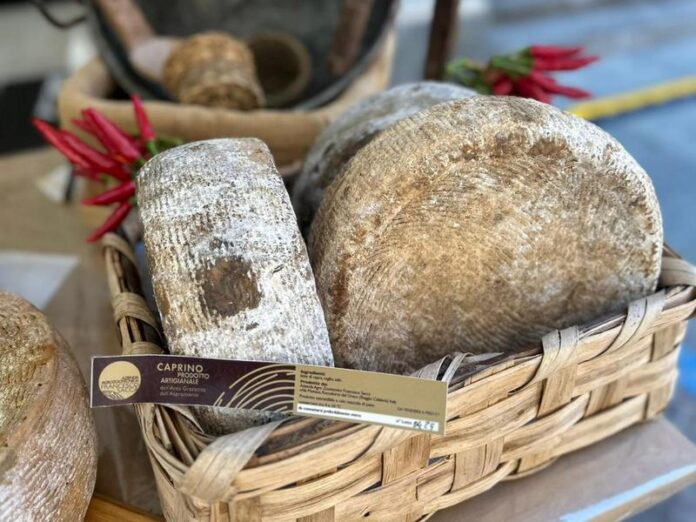 Cheese_caprini_aspromonte_presidio