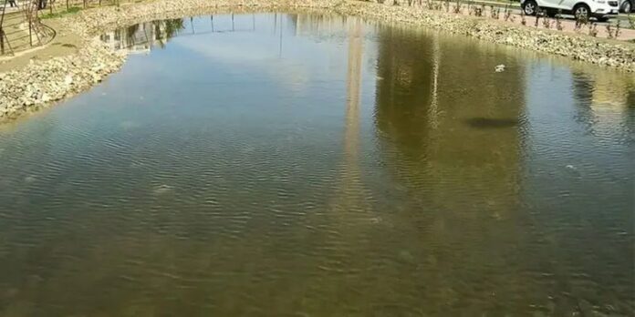 Cosenza laghetto parco benessere