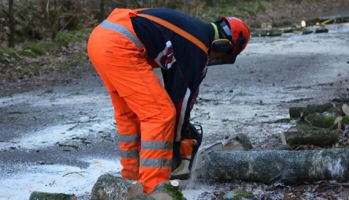 Lavoratore straniero