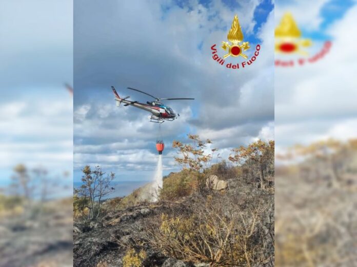 Vigili del fuoco Vibo incendio uliveto Ricadi