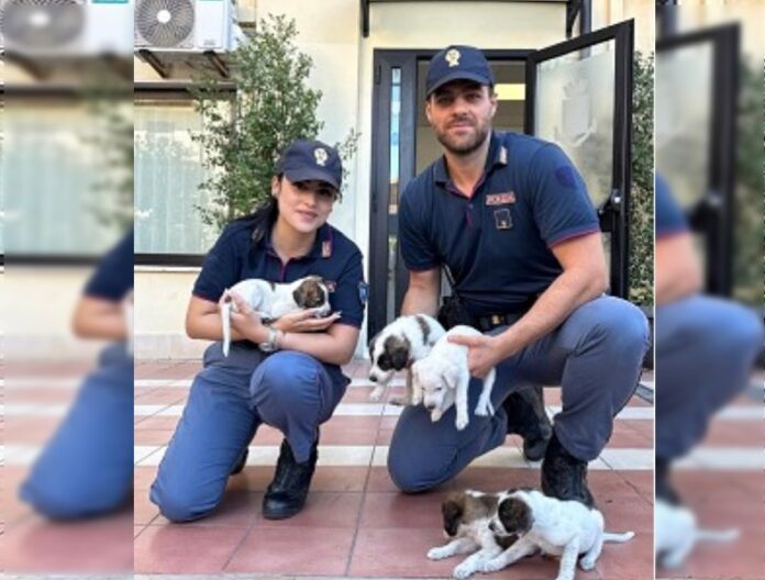 cagnolini salvayi polizia crotone