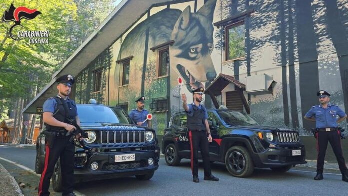 controlli carabinieri sila