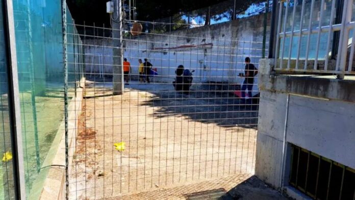 divisione interno stadio vibo