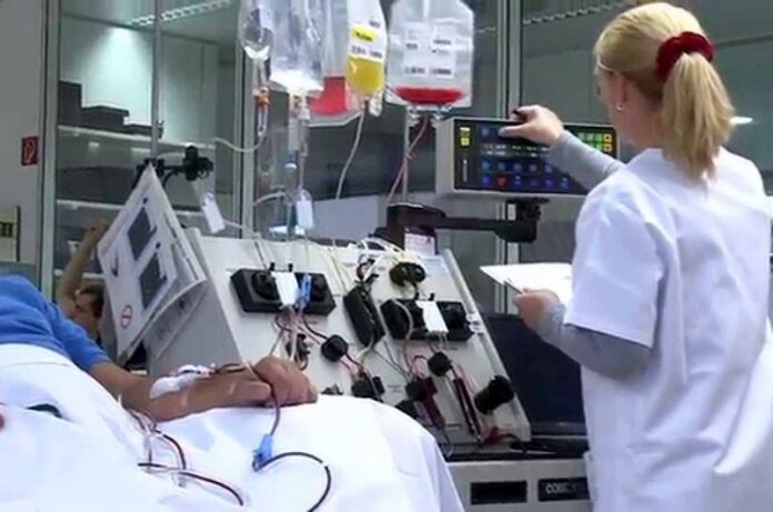 donazione cellule staminali