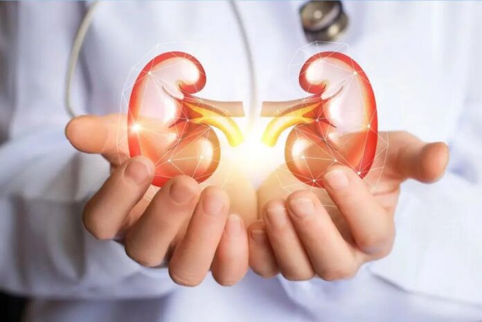 donazione rene